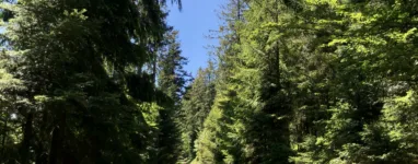 Randonnée Schneeberg