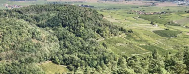 Randonnée des 3 châteaux Ribeauvillé