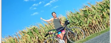 Saint-Rémy les Chevreuses -> Orléans