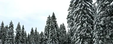 ski de fond la feclaz  .jpeg