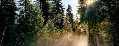 forfait ski de fond la feclaz