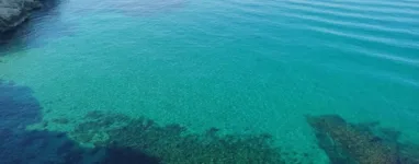 Vieux Port de Marseille