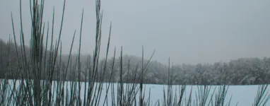 Tour du Mont Sainte Odile