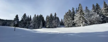 Ski-de-fond-dans-le-haut-jura-a-La-Vattay-3.jpeg
