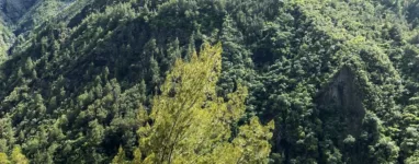 cirque de Mafate Randonnée