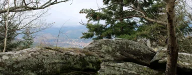 Rando-trail-Rocher-du-Grauschlag-Chateau-du-Guirbaden-1.jpeg