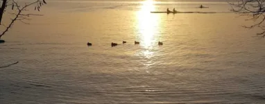 Courir à Lausanne, au bord du Léman