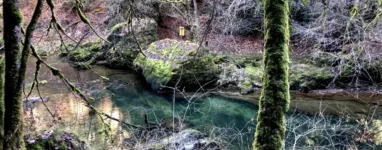 Rando-Trail-dans-les-Gorges-de-l-Orbe-en-Suisse-2.jpeg