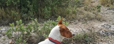 Randonnée Puits-de-L-Aroumi-Parc-departemental-Pichauris-4.jpeg