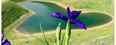 Randonnée lac du Montagnon depuis Aydius