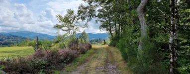 Randonnée Treignac Corrèze Saut du Loup 2