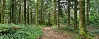 Randonnée Le Saut du Loup, à Treignac