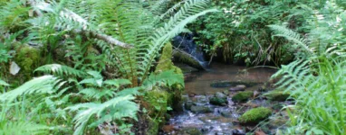 Randonnée sur le Chemin des Sources Collonges La Rouge, Corrèze