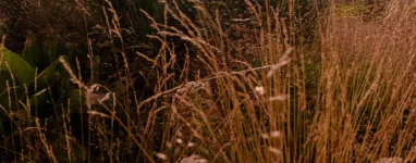 Randonnée sur le GR10 Pyrénées