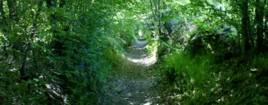 Randonnée Lac du Coiroux, Aubazines