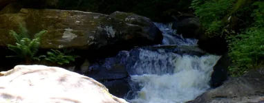 Randonnée Lac du Coiroux Corrèze