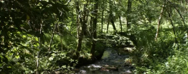 Randonnée Lac du Coiroux, Corrèze