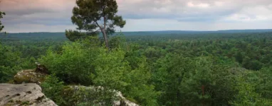 Randonnée Circuit des 25 bosses