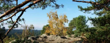 Randonnée 25 bosses fontainebleau