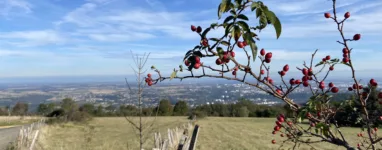 Itinéraire vélo des Monts d'Or, Lyon