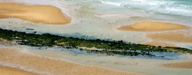 Randonnée des 2 Caps, Nord Pas de Calais