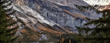 677 BD98 B 36 B0 4 BFE 814 E FD54 AE352 C7 E