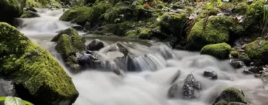 Randonnée et trail à Gérardmer - Saut de la Bourrique