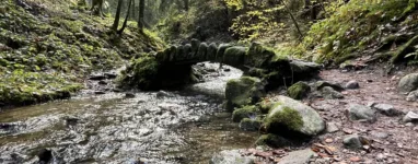 Randonnée et trail à Gérardmer - Saut de la Bourrique
