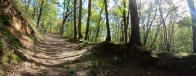 Randonnée Gif Sur Yvette