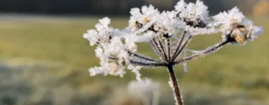 Trail Gif Sur Yvette