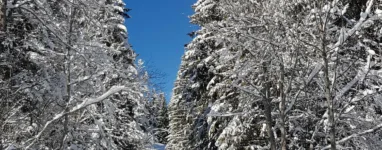 Ski de Fond La Clusaz 3