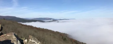 Randonnée et Trail au site du Hartmannswillerkopf et ses tranchées