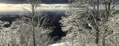 Randonnée et Trail au site du Hartmannswillerkopf et ses tranchées et bunkers