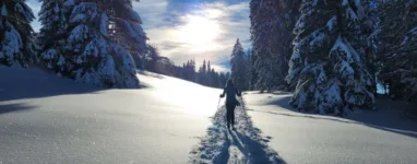 Itinéraire de ski de Randonnée La Dôle