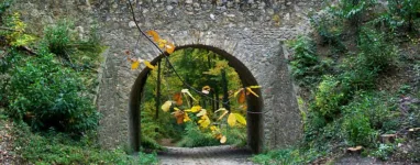 Randonnée forêt de Montmorency - Les 40 bosses