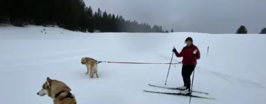 Station de ski de fond La Pesse, Jura
