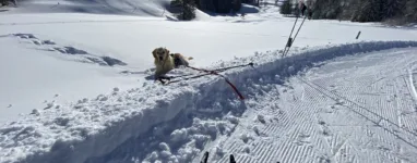 Station de ski de fond La Pesse, Jura