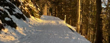 Itinéraire de ski de Randonnée au Molard, Suisse