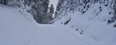 la bresse lispach ski de fond