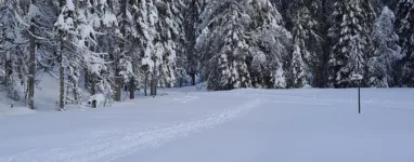 la bresse lispach ski de fond