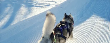 Station de ski de fond des Brasses