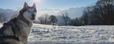 Station de ski de fond des Brasses joering