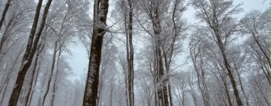 Randonnée Champ du Feu, Hohwald