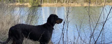 Courir le long des étangs de Courtenay, Isère