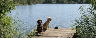 Courir le long des étangs de Courtenay, Isère
