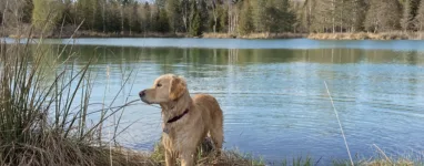 Courir Isère le long des étangs de Courtenay