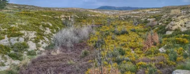 Randonnée plateau de Vitrolles