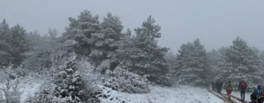 Marathon de l’orchis - Hivernale des Templiers 2021