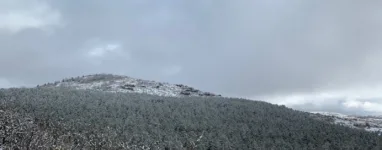 Parcours de Trail Hivernale des Templiers