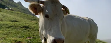 Randonnée lac du Montagnon depuis Aydius